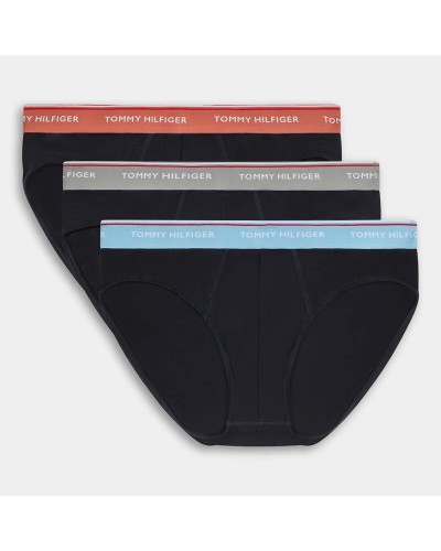 TOMMY HILFIGER 3PACK WB BRIEF.0WC PRIM RED/DESERT SKY/MOON BLUE